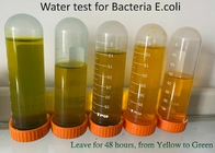 100匹のストリップPLAの細菌はキット、ペットE大腸菌テスト ストリップをテストする